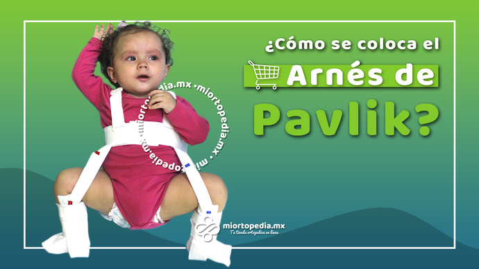 ¿Cómo Colocar un Arnés de Pavlik para la Displasia de Cadera en Bebés?