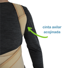 Cargar imagen en el visor de la galería, Faja Dorso Lumbar (Economica)