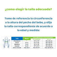 Cargar imagen en el visor de la galería, Arnes de Pavlik Wheaton (Importado)