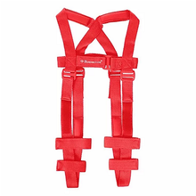 Cargar imagen en el visor de la galería, Arnes de Pavlik